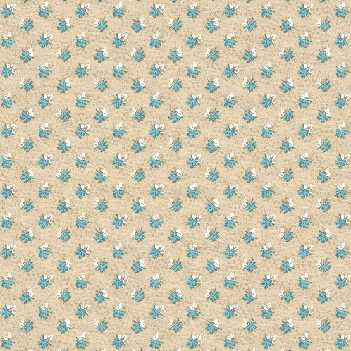Little Acorns