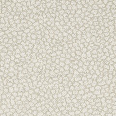 Howard Natural Woven Fabric