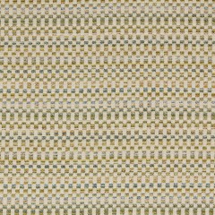 Leighton Citrus Woven Fabric