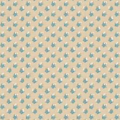 LITTLE ACORNS