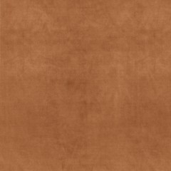 Portofino Ginger Fabric