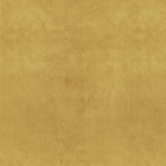 Portofino Honey Fabric