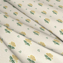PRIMULA