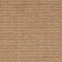 Sherborne Ginger Woven Fabric