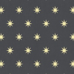 STARLIGHT