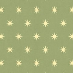 STARLIGHT