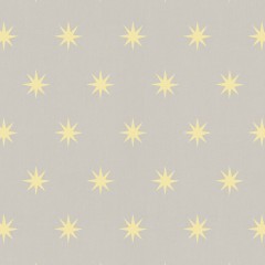STARLIGHT