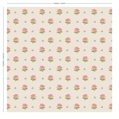 PRIMULA