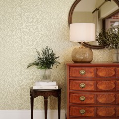 MEANDER