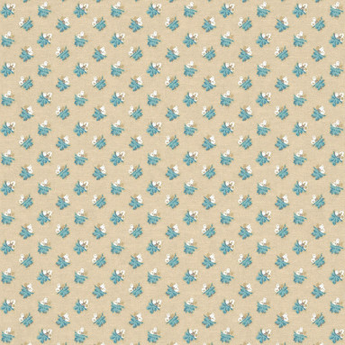 LITTLE ACORNS