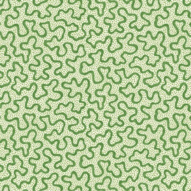 MEANDER