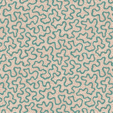 MEANDER