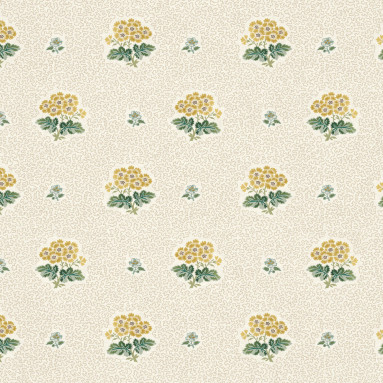 PRIMULA