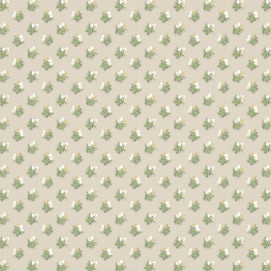 LITTLE ACORNS