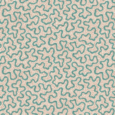 MEANDER