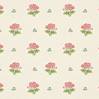 PRIMULA