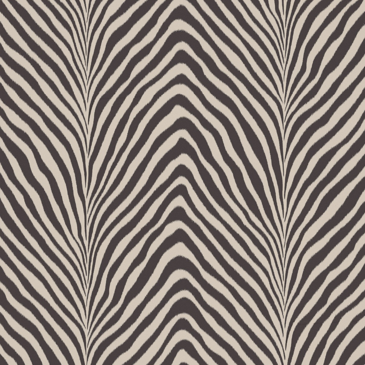 zebra wallpaper