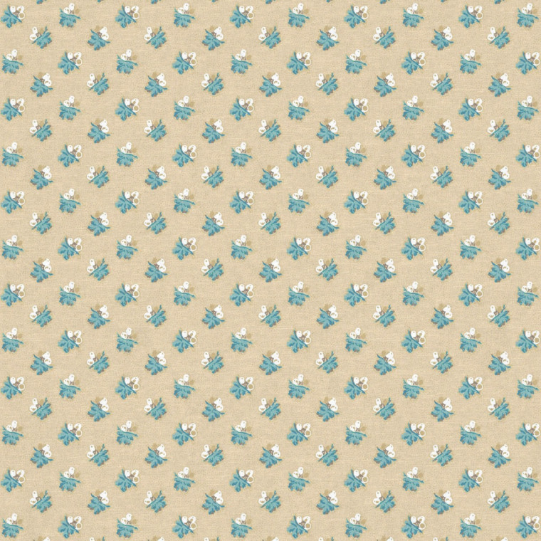 LITTLE ACORNS