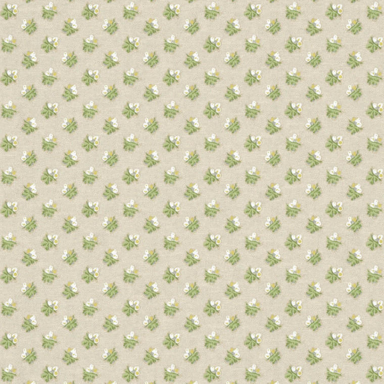LITTLE ACORNS
