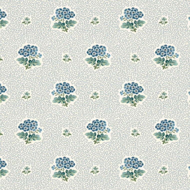 PRIMULA
