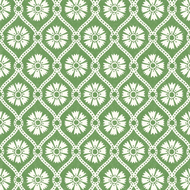 Samira Apple Wallpaper