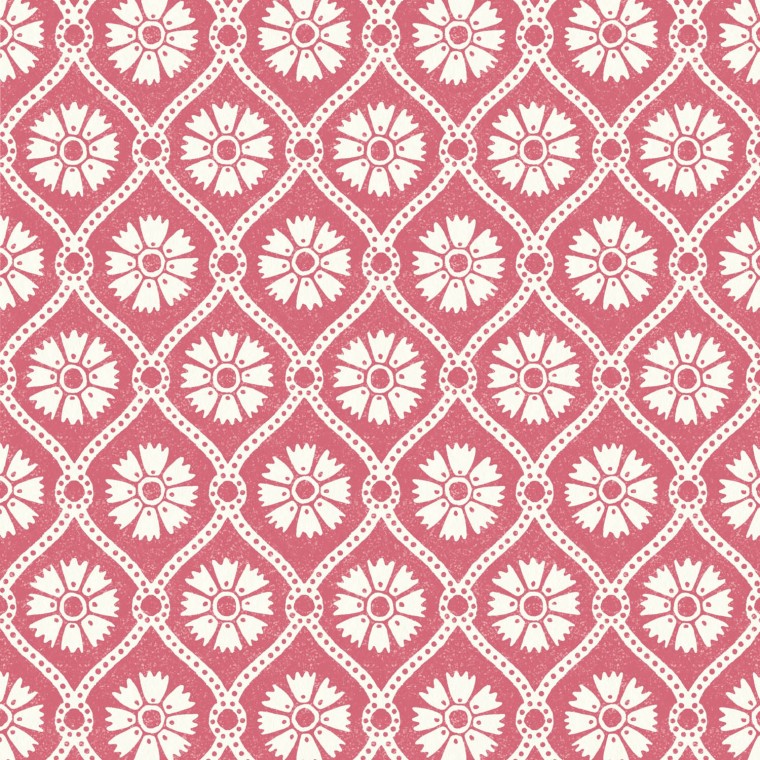 Samira Raspberry Wallpaper