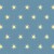 STARLIGHT