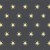 STARLIGHT