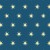 STARLIGHT
