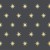 STARLIGHT