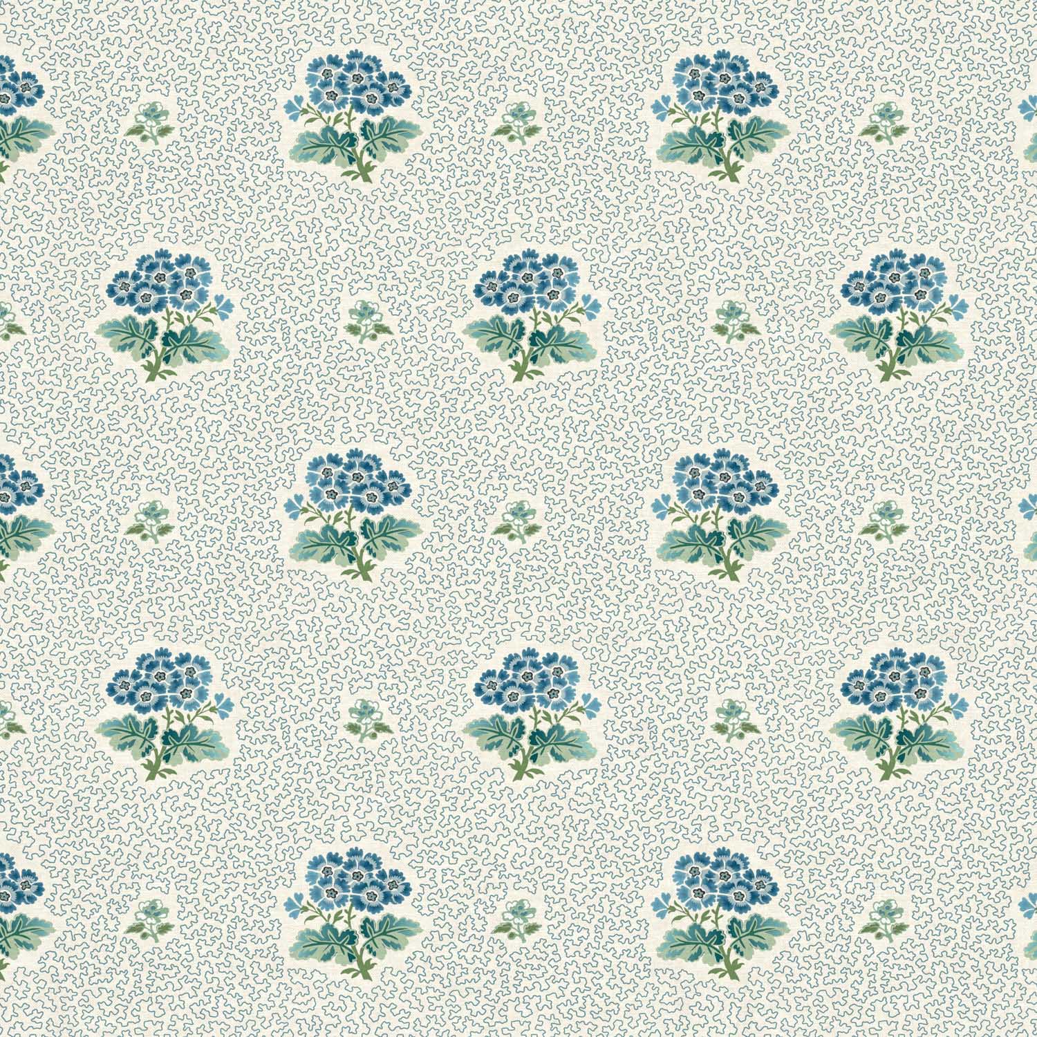 PRIMULA