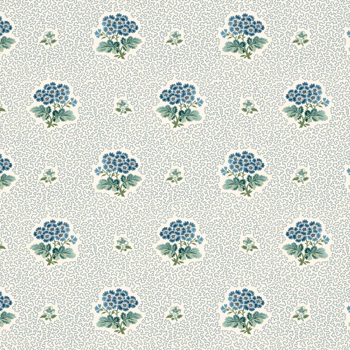 PRIMULA