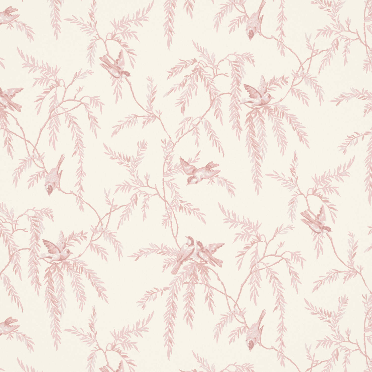 Pink Wallpaper Pink Wallpaper